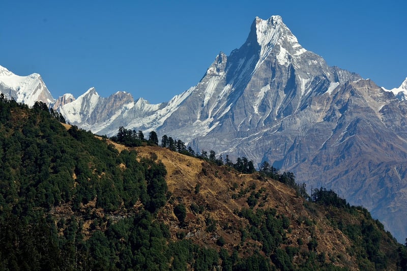 The Himalayas